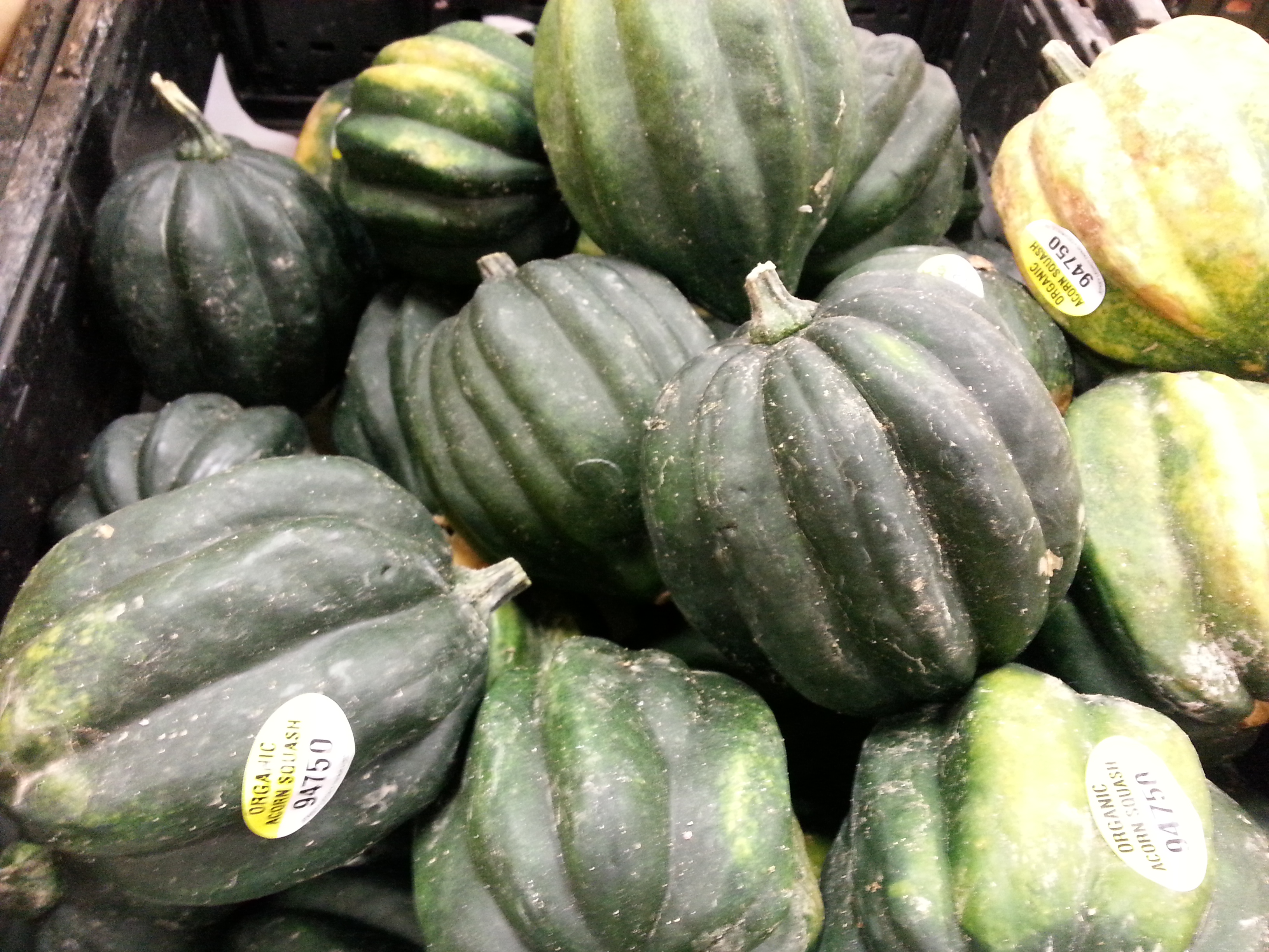 what-do-i-do-with-an-acorn-squash-brg-health-bonnie-r-giller