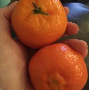 mandarin vs tangerine