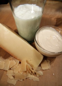 Dairy-milk - cheese